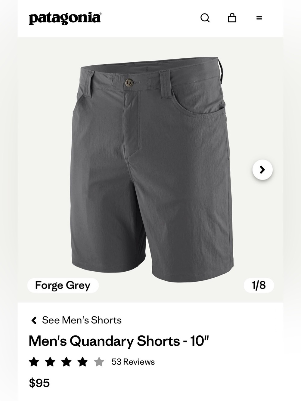 Patagonia Men's Quandary Shorts - 10"
